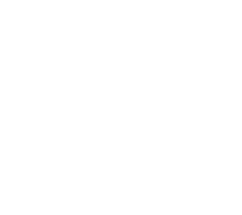 Cyllium
